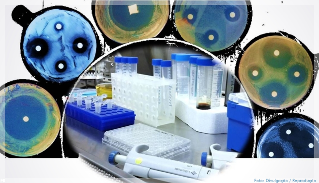 Desinfetante inspirado no sistema imune mata superbactérias