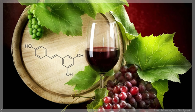 Pesquisadores estudam uso do bagaço da uva na cosmética, farmacêutica e alimentação