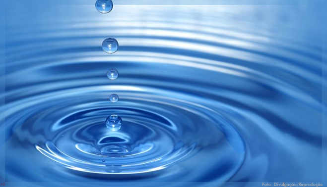 Detergente derivado de flores limpa a água