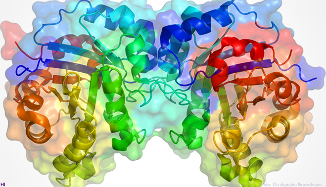 Pesquisa melhora enzima que degrada plástico