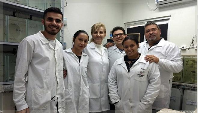 Com apoio da Fundect, pesquisadores da UFGD criam detergente que elimina larvas do mosquito da dengue