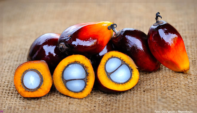 Principal área produtora de óleo de palma da Malásia fecha instalações por COVID-19