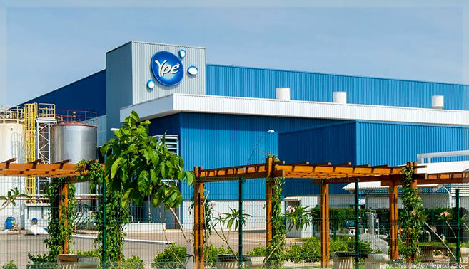 Ypê, a marca pop de 70 anos