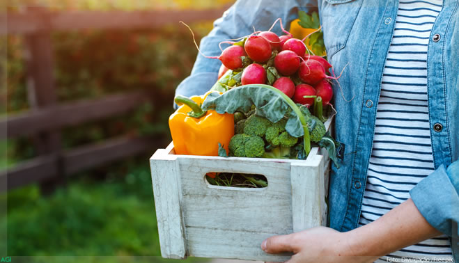 Agtech israelense capta US$ 30 milhões e prevê monitorar 1 bilhão de árvores até 2023