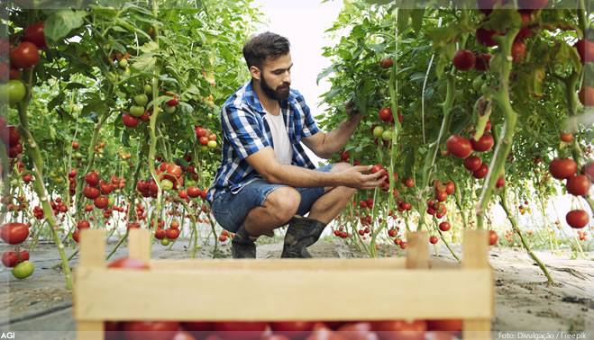 Custo é barreira para conexão de pequeno e médio produtor